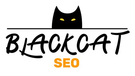 blackcatseo|The SEO & SEO Agency in Montreal